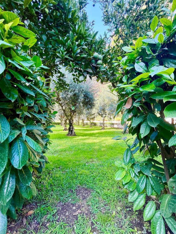 Il Giardino Di Athena 1 Paestum Exterior foto