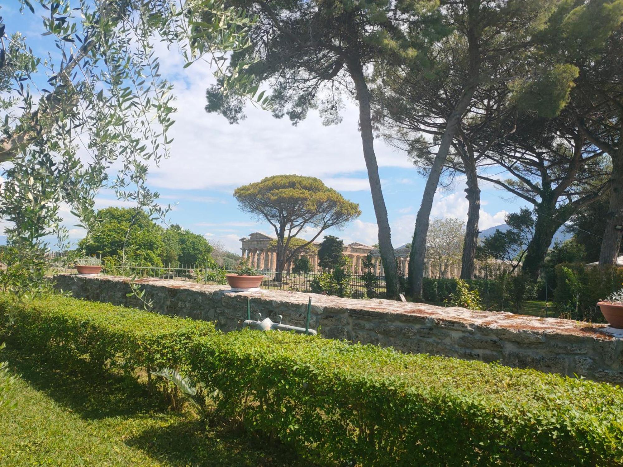 Il Giardino Di Athena 1 Paestum Exterior foto