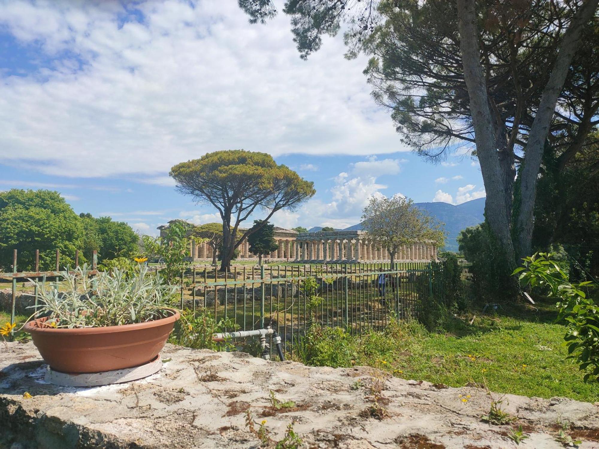 Il Giardino Di Athena 1 Paestum Quarto foto