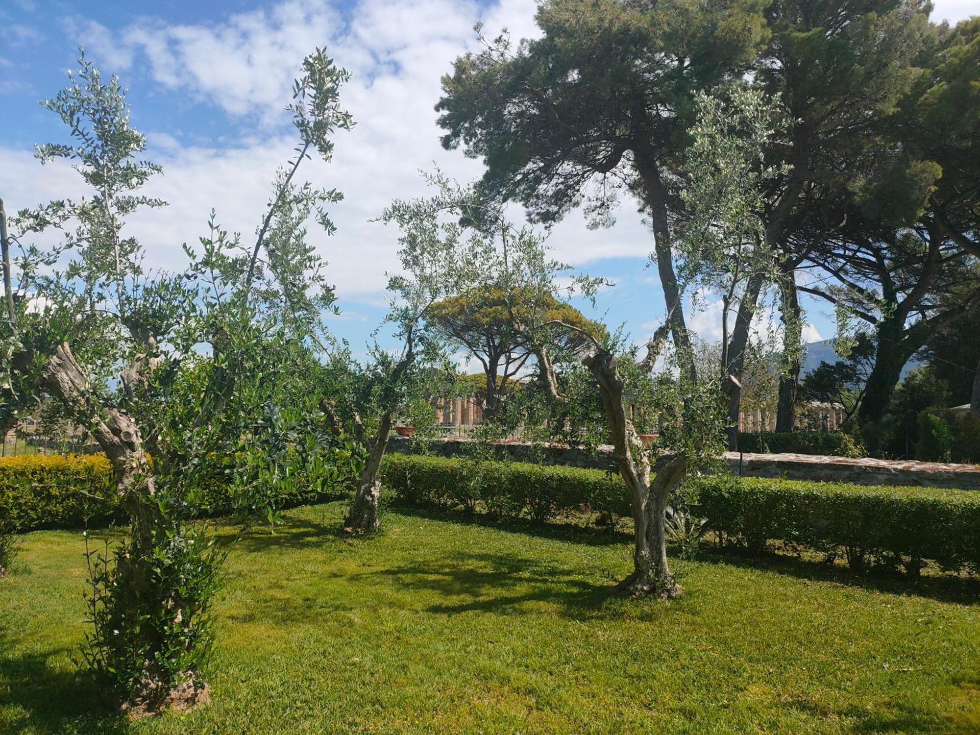 Il Giardino Di Athena 1 Paestum Exterior foto