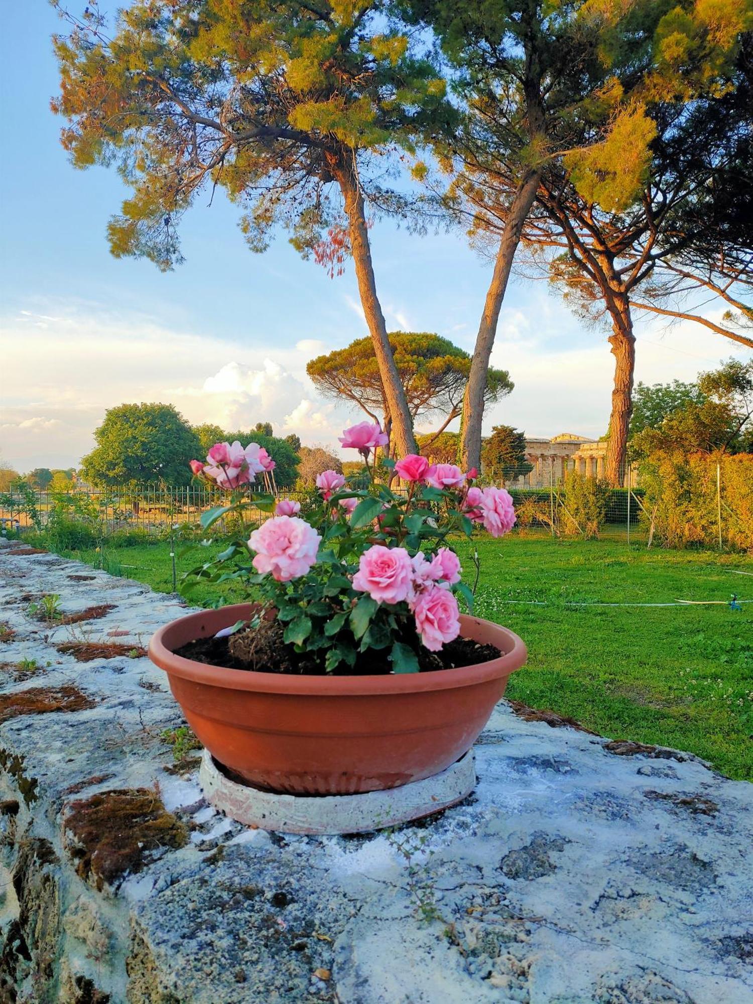 Il Giardino Di Athena 1 Paestum Exterior foto